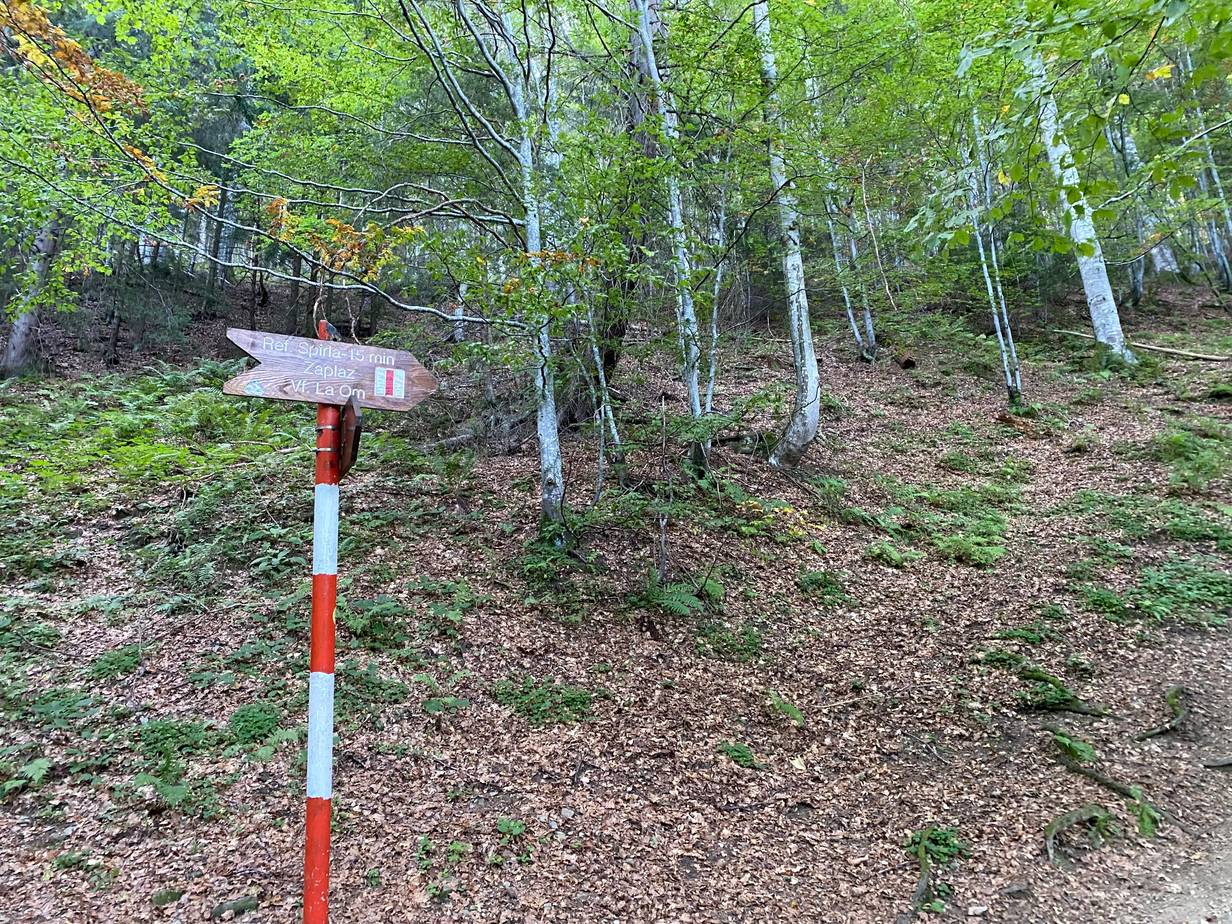 15 minutes before reaching Spirla